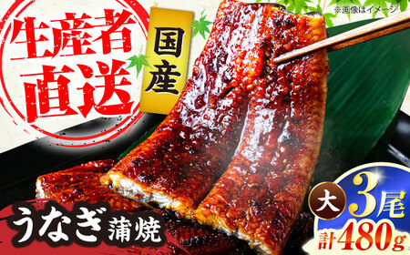 国産うなぎ蒲焼 大3尾 480g[VAD003] 鰻 うなぎ
