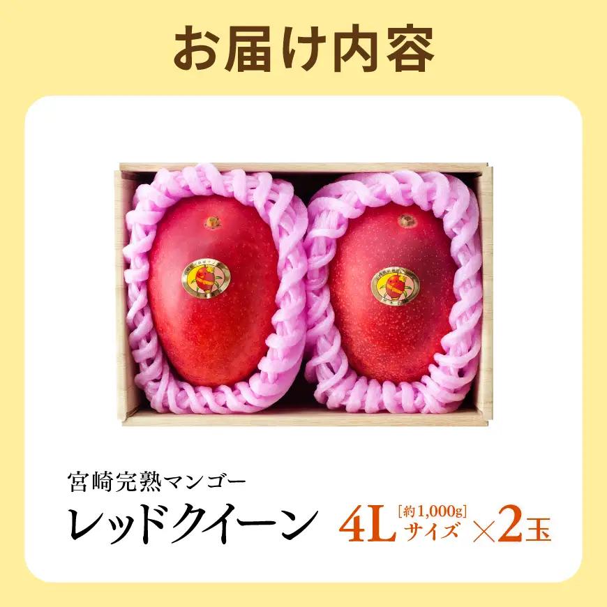 【令和9年発送】宮崎県産完熟マンゴー　「レッドクイーン」4L×2玉 【 果物 フルーツ マンゴー 宮崎県産 完熟マンゴー みやざきマンゴー 先行予約 数量限定 期間限定 】