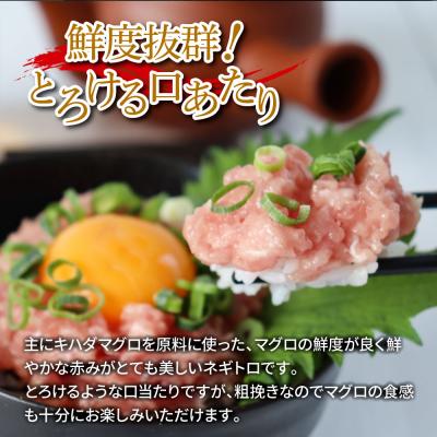 ふるさと納税 田野町 〜四国一小さなまち〜≪カネアリ水産≫まぐろのネギトロ 400g(80g×5パック)★4ヶ月定期便★ |  | 01