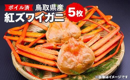 鳥取県産 ボイル紅ズワイガニ5枚セット※着日指定不可※離島への配送不可※2027年2月上旬～4月下旬頃に順次発送予定 ｜ 蟹 かに 紅ズワイガニ ボイル タグ付き 鳥取県産 北栄町 おすすめ 人気