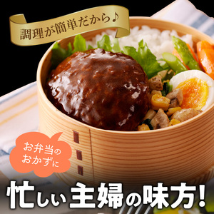 デミグラスソースハンバーグ　150g×10個セット 高評価 デミグラスソース ハンバーグ セット 150g 10個 個包装 便利 時短 湯煎 ボイル 電子レンジ 簡単 調理 おかず お弁当 おつまみ 