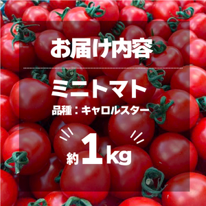 ミニトマト 1kg 国産 トマト キャロルスター 野菜 国産 サラダ パスタ 三重県 伊勢 志摩 5000円 5千円 五千円