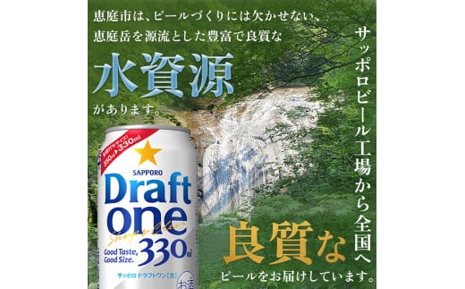 『定期便：全5回』 ドラフトワン330ml×24本