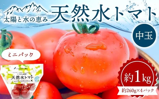 
                  太陽と水の恵み 天然水トマト 中玉 ミニパック 約1kg F25R-067
                