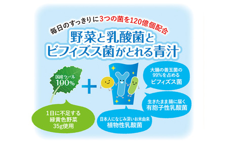 ＜野菜と乳酸菌とビフィズス菌がとれる青汁 3回定期便＞ ケール 粉末 すっきり 契約農家 健康 濃縮野菜 無添加 ミネラル農法 化学農薬不使用 青汁 飲料 野菜不足解消 グリーンヒル ファンケル FA