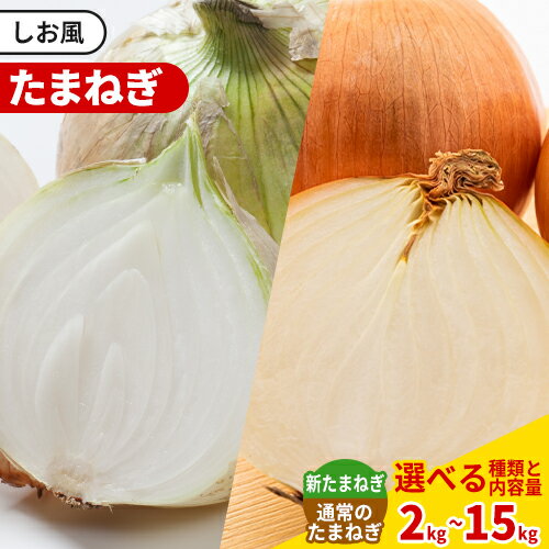 【ふるさと納税】 五千円以下 玉ねぎ しお風たまねぎ 選べる内容量 新たまねぎ 新玉 新たま 大きさ不揃い【先行予約分】《2025年5月中旬-6月末頃出荷》約 2kg or 約 5kg or 約 10kg or 約 15kg 野菜 岡山県