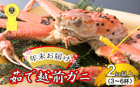 【年末お届け】【訳あり】 越前ガニ 約2kg以上 6杯 脚折れ含む 越前ガニ
