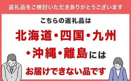 氷見産山ぶどうのババローニャ4個セット パティスリーシュン　【お菓子・スイーツ】