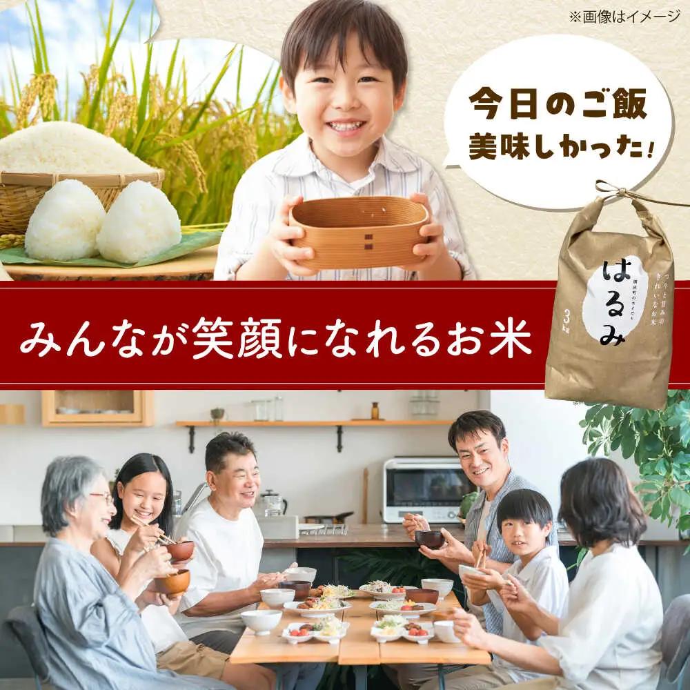 米 はるみ米 5kg はるみ [BDBB002] 