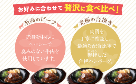 U61-31R09 【7営業日以内発送】どっちのハンバーグ!?デミグラスソース20個セット（ビーフ・合挽 各10個） ビーフハンバーグ 合挽ハンバーグ 個包装 大人気 湯煎 大容量 牛肉 豚肉 洋食 