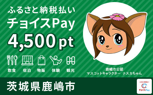 
鹿嶋市チョイスPay 4,500pt（1pt＝1円）【会員限定のお礼の品】
