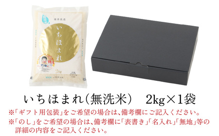 【福井のブランド米】【令和5年産】【特A獲得】いちほまれ 無洗米 2kg × 1袋