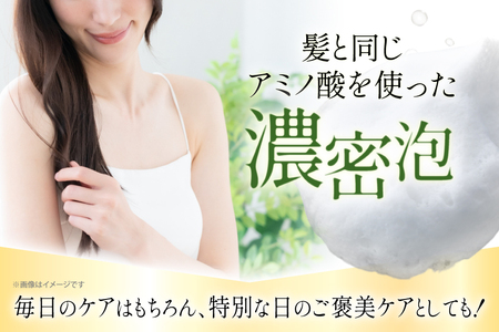 シャンプー トリートメント シャンプー 500ml 1本 トリートメント 500ml 1本