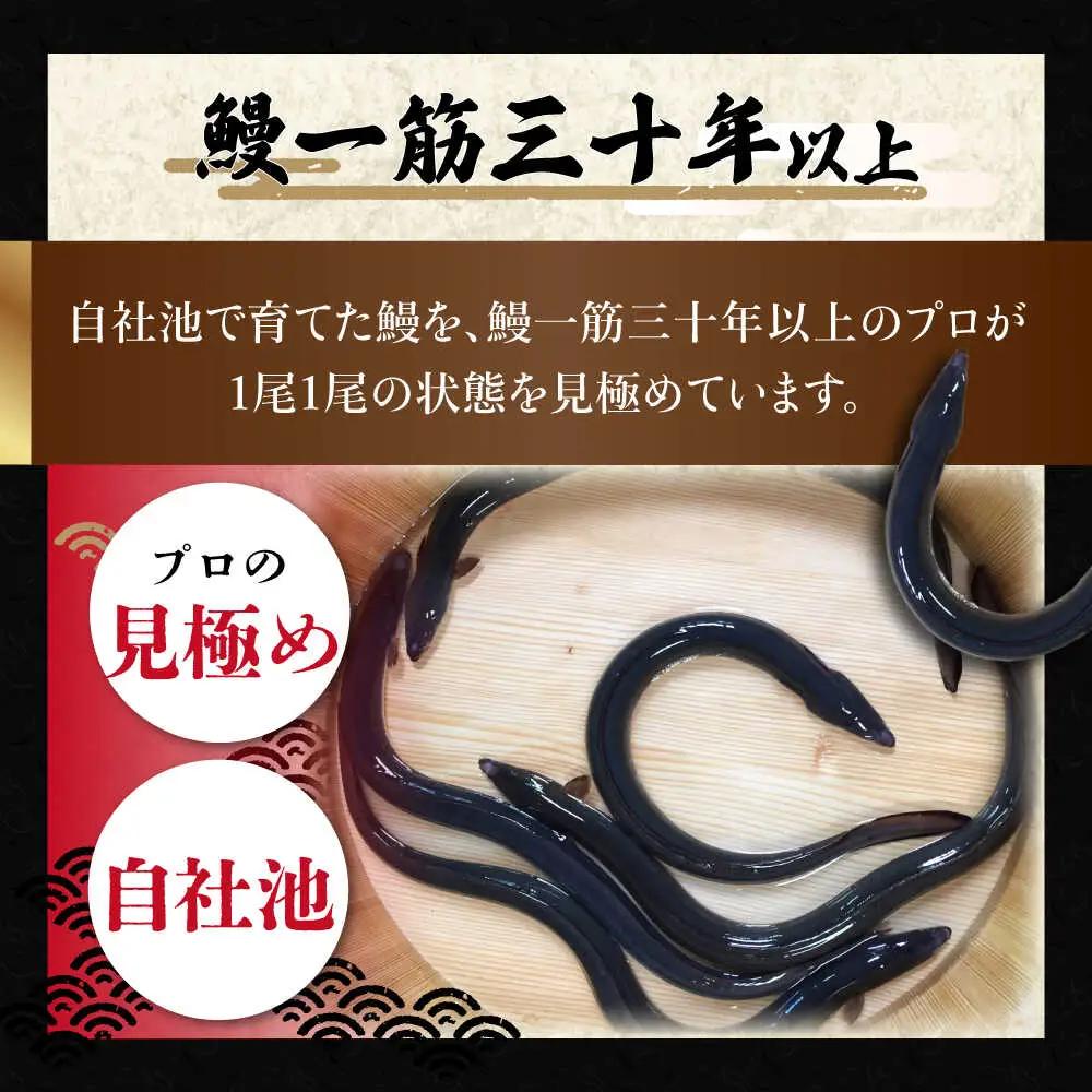 高知焼き鰻蒲焼1尾 / 蒲焼き かば焼き たれ タレ うなぎ ウナギ 鰻 小分け 個包装 パック 冷凍 冷凍食品 国産 おかず 簡単調理 調理済 時短 オーブントースター 魚焼きグリル フライパン 【