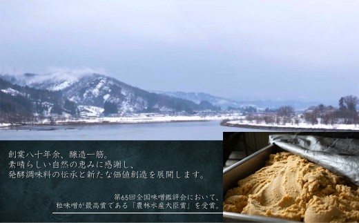 【熟成塩こうじ 200g×10個】米と塩だけの発酵調味料 万能調味料 山崎醸造 | 塩こうじ 塩麹 しおこうじ 熟成塩こうじ 発酵調味料 万能調味料 玄米 米麹 麹 発酵食品 漬け にいがた おぢや 新潟県 小千谷市 【0002-0234】