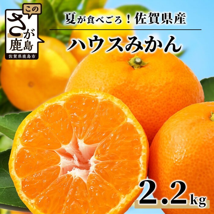 【ふるさと納税】終了間近！ハウスみかん（2.2kg）化粧箱入 贈答用 JA直送【2026年7月上旬頃まで発送予定】夏 夏限定 期間限定美味しい みかん 蜜柑 ミカン 果物 フルーツ くだもの 甘い 新鮮 人気 大好評 おすすめ 佐賀県 鹿島市 人気 送料無料 C-28