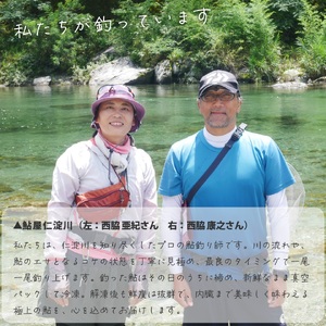 有名料亭も絶賛！鮎屋仁淀川の仁淀ブルー友釣り天然鮎500g（5-14尾）【2026年6月アユ漁解禁後発送】