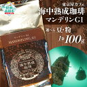 【ふるさと納税】【豆 / 粉 が選べる】 海中熟成珈琲 「 マンデリン G1 」 100g 【 珈琲 豆 コーヒー豆 珈琲豆 挽き 中挽き 自家焙煎 厳選 ブレンド アイス ホット モーニング ランチ 飲み物 飲料 贈り物 贈答品 ギフト プレゼント ドリップ 岩手 陸前高田 東京屋カフェ 】