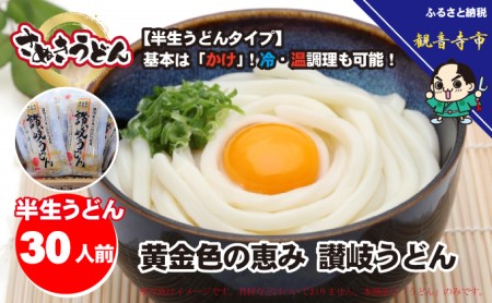 讃岐うどん 半生 黄金色の恵み 麺類 讃岐うどん【30人前 300g×10袋】