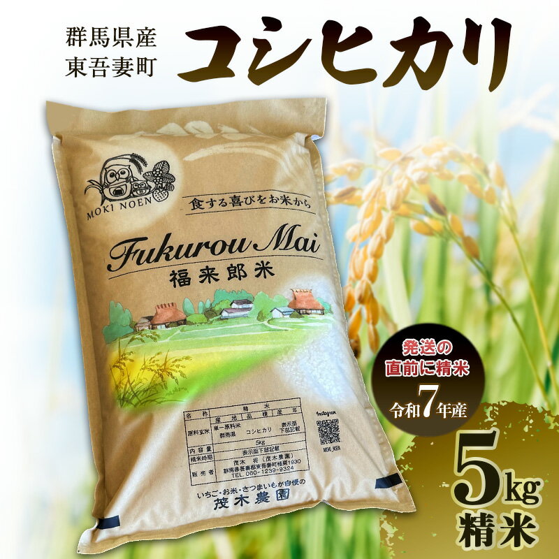 【ふるさと納税】コシヒカリ 5kg 精米　お米 白米 ライス ご飯 ブランド米 銘柄米 主食 お弁当 おにぎり 群馬県 東吾妻町