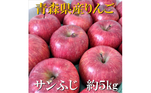 
サンふじ　約5kg＜津軽みらい農業協同組合の青森県産りんご＞【1063270】
