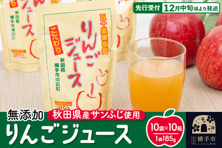 無添加りんごジュース（サンふじ） 185g×10パック×10箱 リンゴジュース