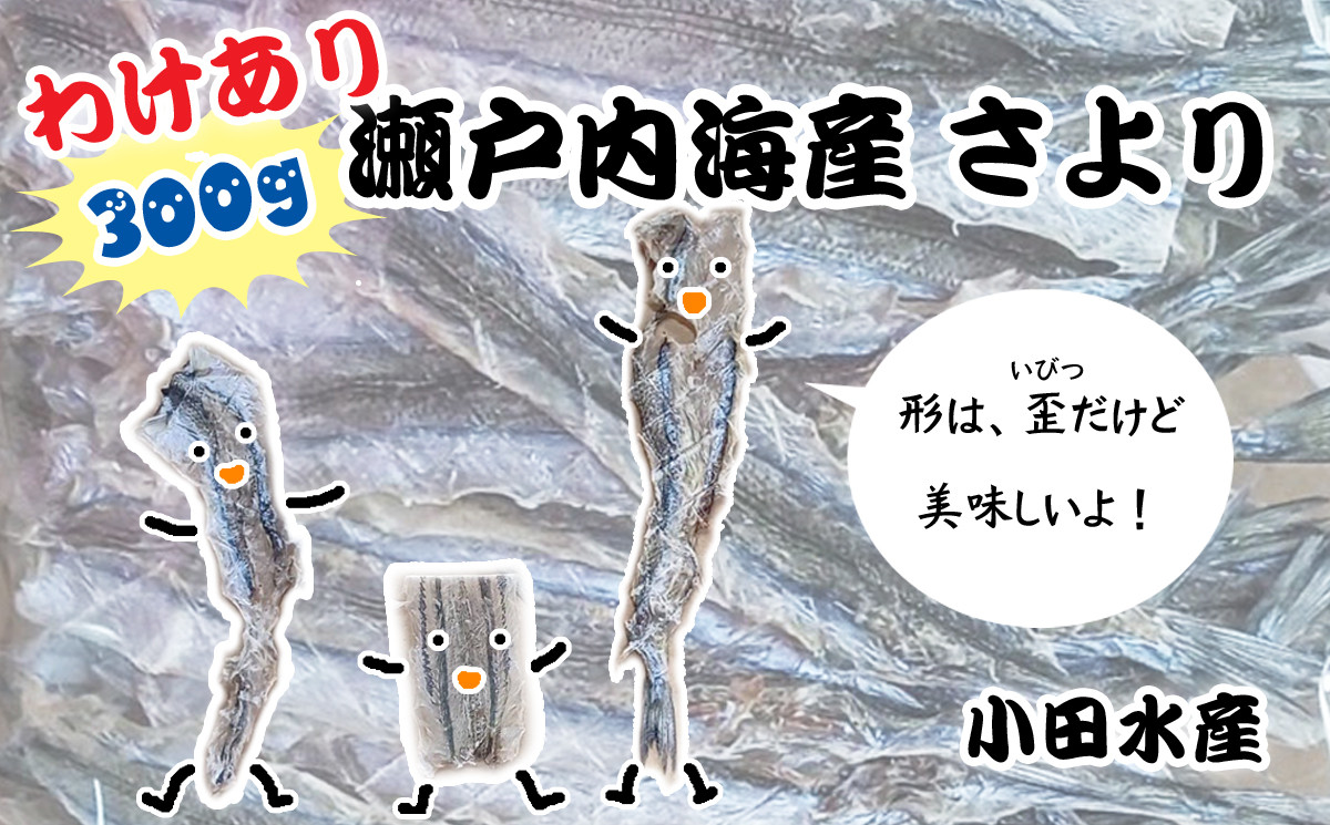 
【令和６年産】【訳あり】やみつきサヨリの干物（300g）i12-19
