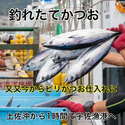 ふるさと納税 南国市 釣れたてのカツオ発送します。ビリ鰹わら焼きタタキ・刺身 各400g×2節(醤油・ニンニク・タレ付き)