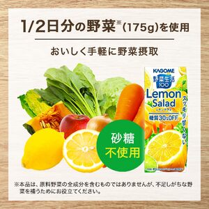 【定期便4ヶ月連続お届け】カゴメ 野菜生活100 レモンサラダ 200ml 48本 野菜ジュース 果実ミックスジュース 紙パック