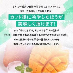 【令和8年発送】宮崎県産完熟マンゴー　三國農園　完熟マンゴー2L×3玉 【 果物 フルーツ マンゴー 宮崎県産 完熟マンゴー みやざきマンゴー 】