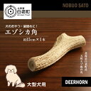 【ふるさと納税】犬のおやつ・歯固めに！エゾシカ角 約15cm×1本（大型犬用）犬 ペット 大型犬 おもちゃ おやつ 歯固め エゾシカ ドッグガム 北海道 北海道ふるさと納税 白老 ふるさと納税 北海道