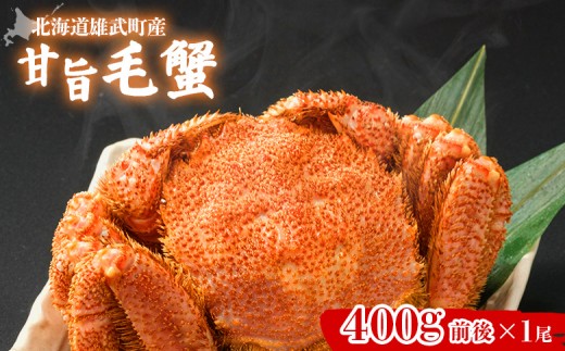 
            【北海道雄武町産】やわらか殻の甘旨毛蟹 400g前後×1尾 | 毛ガニ カニ かに 蟹 殻付き 浜茹で ジューシー 海産物 海鮮 冷凍 鮮度直送 柔らかい 食べやすい 蟹料理 ギフト おすすめ 贈答用 鮮魚 食材 海の幸 お取り寄せ 北海道 雄武町 雄武【07186】
          