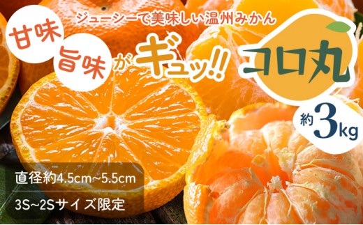 
                  みかん コロ丸 小みかん 瀬戸内 約3kg 香川県産 温州みかん 3S～2S 等級フリー 極早生みかん 早生みかん 中生 甘い 小粒 フジカワ果樹園 藤川果樹園 果実 柑橘 先行予約 おやつ デザート 手土産 フルーツ 果物 くだもの 蜜柑 ミカン 香川県 観音寺市
                