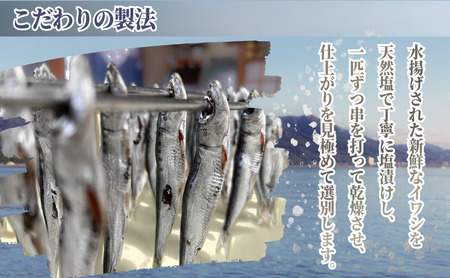 いわし　めざし　60g×8袋　マイワシ　ウルメイワシ | 鰯 真イワシ 魚 魚介 水産 網焼き 炭火焼 おつまみ 酒の肴 ご飯のお供 京都 宮津市