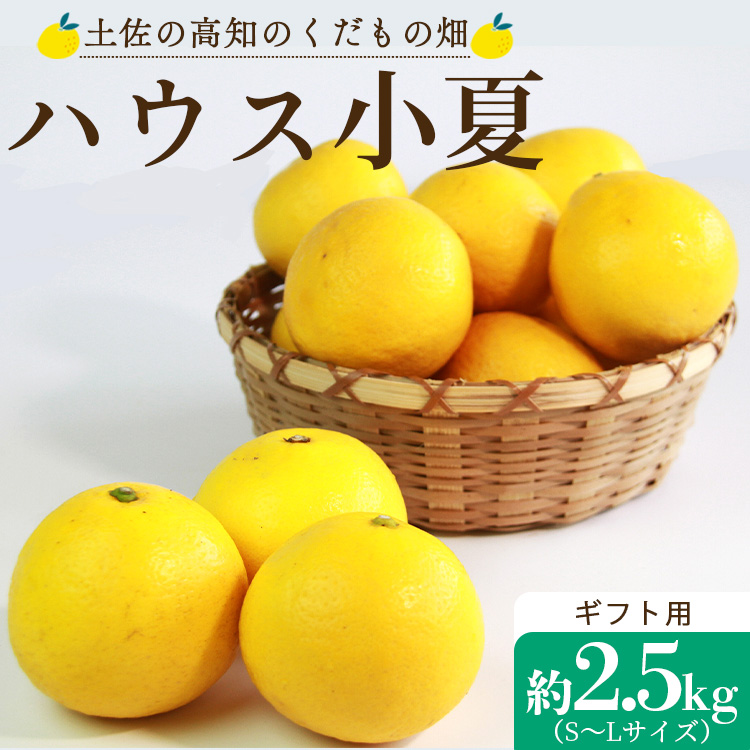 【先行予約】ハウス小夏（日向夏）約2.5kg（ギフト用）- ニューサマーオレンジ 柑橘 果物 くだもの フルーツ こなつ おいしい 国産 贈答用 お礼 御礼 感謝 果汁 甘い 瑞々しい みずみずしい 