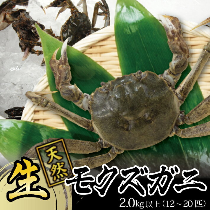 【ふるさと納税】春の生・天然モクズガニ 2.0kg以上 12～20匹 オス・メス混合 山形県庄内産 2026年3月中旬～5月上旬頃お届け 冷蔵便 ※着日指定・離島発送不可（沖縄県を含む） カニ 蟹 かに 川ガニ 新鮮 鮮魚 まるごと 姿 カニみそ 味噌汁 蒸し蟹 期間限定 お取り寄せ