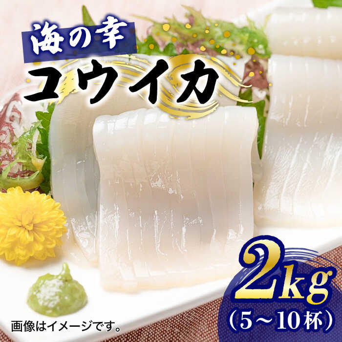 【ふるさと納税】【先行予約】築上町で捕れた コウイカ 約2kg (5〜10杯)【2027年3月下旬以降順次発送】《築上町》【明青丸】[ABCB007] 27000 27000円 2万7千円