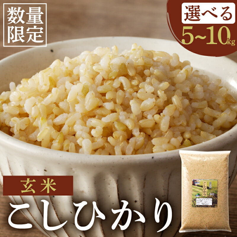 【ふるさと納税】≪都農町産≫ 新米 コシヒカリ 玄米 5kg 10kg お米 ご飯 国産 食品 ライス 主食 エネルギー ごはん おにぎり おむすび 晩ご飯 お弁当 おすすめ 低糖質 ヘルシー ビタミン ミネラル 人気 お試し グルメ 宮崎県 お取り寄せ 送料無料