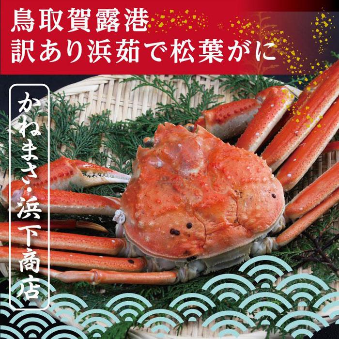 【ふるさと納税】鳥取賀露港 訳あり浜茹で松葉がに 大 1枚【かねまさ・浜下商店】 | 蟹 かに ずわいがに 茹で ボイル 鍋 かにしゃぶ かにみそ ズワイガニ 松葉ガニ 冷蔵 送料無料 訳あり 期間限定