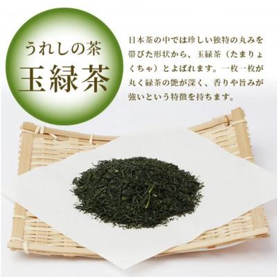 ふるさと納税 鹿島市 佐賀県産 うれしの茶 緑茶 ティーバッグ(合計105包) |  | 02