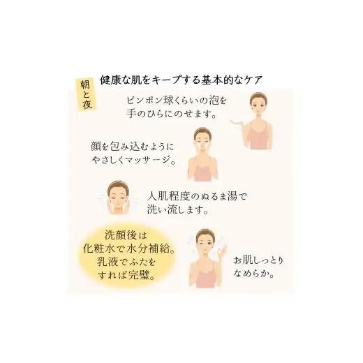 泡の洗顔石けん ミントの香り 200ml 泡洗顔料 敏感肌 アルガンオイル配合 保湿 洗顔石鹸 洗顔フォーム 洗顔せっけん 防腐剤無添加 合成界面活性剤無添加