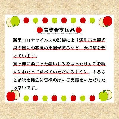 【令和7年産先行受付】北海道深川市産りんご(つがる)5kg【ふるさと納税】【配送不可地域：離島】【1298284】