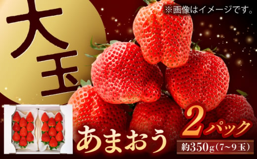 【数量限定】【先行予約】福岡県産 あまおう  約350g×2パック【1月上旬より順次配送】　▼ ご褒美 大玉あまおう 厳選 イチゴ 苺  甘い あまい  ギフト 果物 桂川町/高嶋園芸[ADAT002]