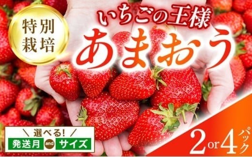 
            【選べる】福岡県産 特別栽培 あまおう サイズいろいろMIX またはL~2Lサイズ（少し小ぶりサイズ）約1140g（約285g×4パック）or 約570g（約285g×2パック）【1～4月発送】 ｜農園直送 アフター保証 先行予約 福岡産 送料無料 ケーキ ギフト お祝い 限定 季節限定 UN001/002/003/004/005/006/007
          