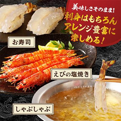 ふるさと納税 伊万里市 伊万里産　お刺身用冷凍ジャンボ車海老 |  | 02