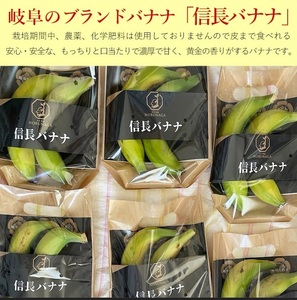 1041 天下布武信長バナナ　約1kg　サイズお任せ　岐阜県産　糖度25度前後　無農薬　無添加