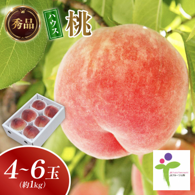 
                  ハウスもも(4～6玉)/60【1299394】
                