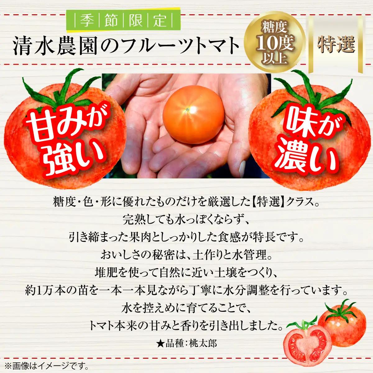 ＜2026年6月下旬よりお届け＞【特選・糖度10度以上】【農園直送】北海道壮瞥産 こだわりフルーツトマト 20玉以上 SBTO005