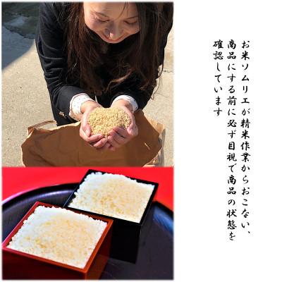 ふるさと納税 かすみがうら市 大粒だけを選びました!令和5年産　茨城県産コシヒカリ「寿米流(すまいる)」5kg |  | 03
