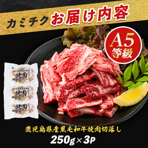 黒毛和牛 A5等級 鹿児島県産 黒毛和牛 焼肉 切り落とし750g IB112-016